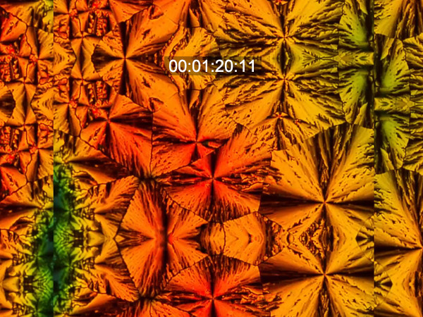 Polarized optical microscopic image of liquid- crystalline macrocycle