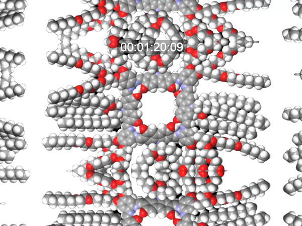Columnar liquid-crystalline macrocyclic molecule as a molecular container