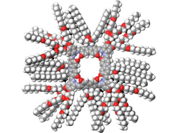 分子の入れ物を形成する液体分子