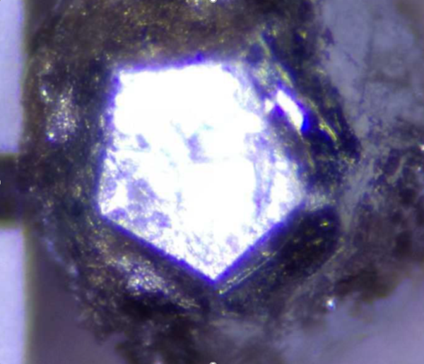 フラックス法により育成された Zn-Sc 準結晶の単結晶試料