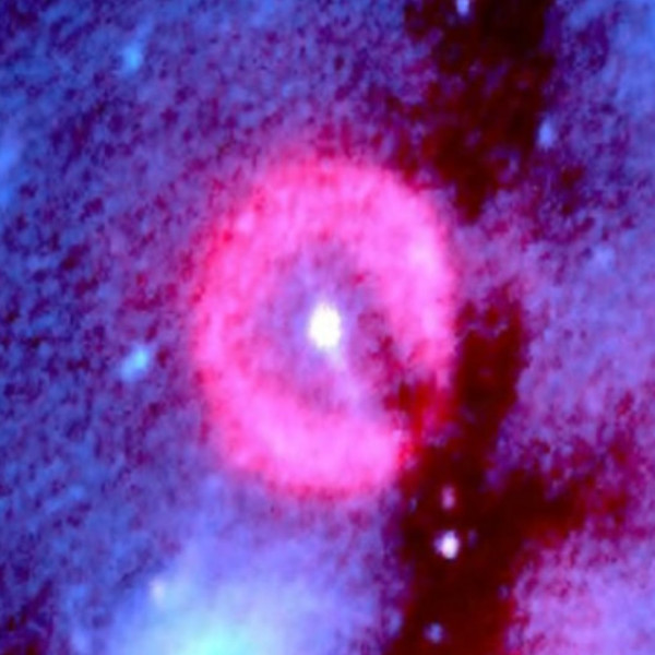 赤外線天文衛星「あかり」で見た白鳥座の星形成領域