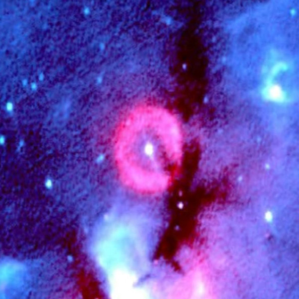 赤外線天文衛星「あかり」で見た白鳥座の星形成領域